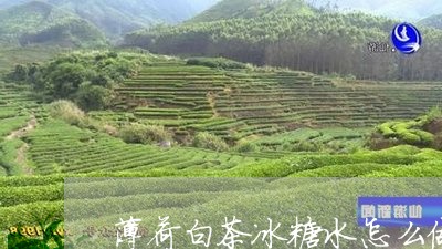 薄荷白茶冰糖水怎么做好喝/2023042832602