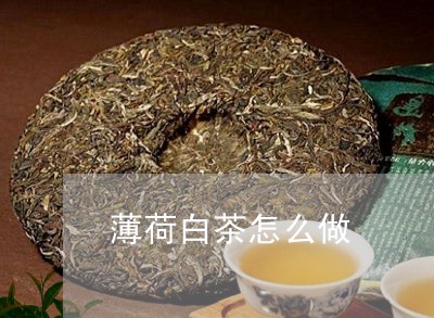 薄荷白茶怎么做/2023060938370