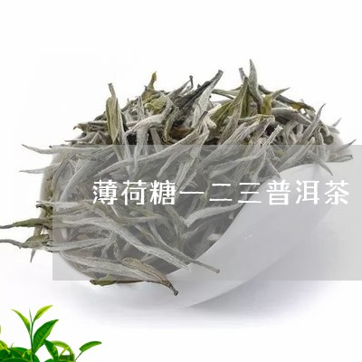 薄荷糖一二三普洱茶/2023120537260