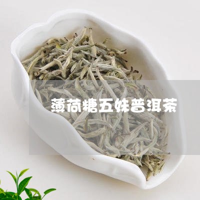 薄荷糖五妹普洱茶/2023120478492