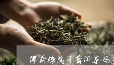 薄荷糖属于普洱茶吗为什么/2023112877269