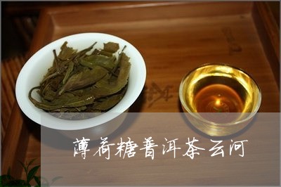 薄荷糖普洱茶云河/2023120426492