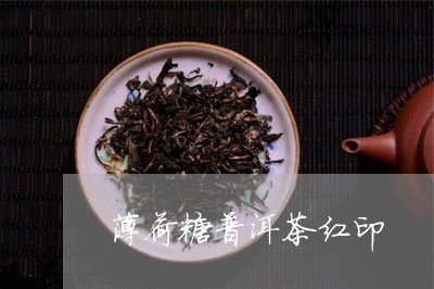 薄荷糖普洱茶红印/2023120467240