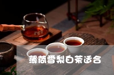 薄荷雪梨白茶适合/2023071101513