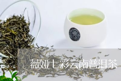 薇娅七彩云南普洱茶/2023120572516