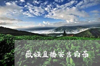 薇娅直播安吉白茶/2023071136260