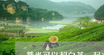 薏米可以和白茶一起冲泡吗/2023042847270