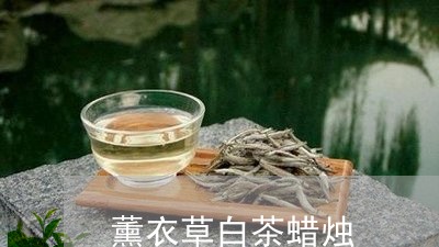 薰衣草白茶蜡烛/2023060932824