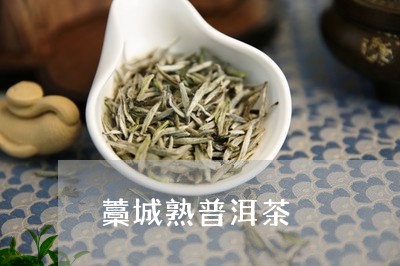 藁城熟普洱茶/2023042660469