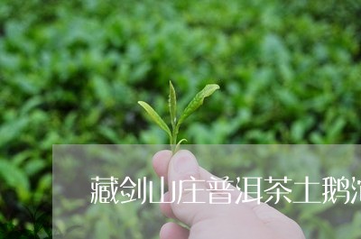 藏剑山庄普洱茶土鹅沱/2023072415926