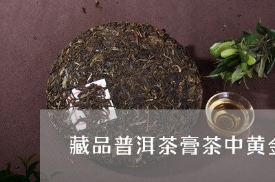 藏品普洱茶膏茶中黄金/2023100833704