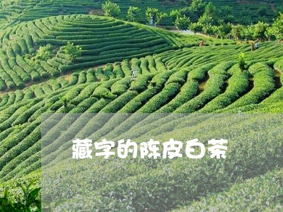 藏字的陈皮白茶/2023060905047