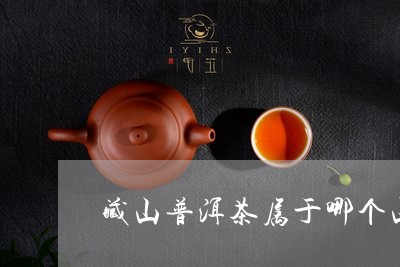 藏山普洱茶属于哪个山头/2023122011605