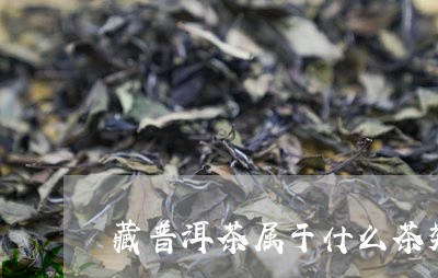藏普洱茶属于什么茶类/2023121891615