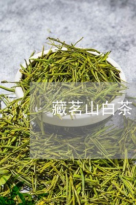 藏茗山白茶/2023051165040