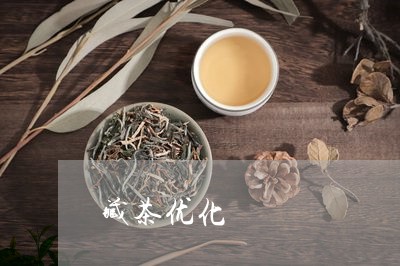 藏茶优化/2023121971614