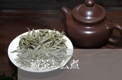 藏茶怎么煮/2023090208581