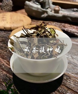 藏茶提神吗/2023090295058