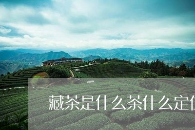 藏茶是什么茶什么定位/2023071533267