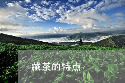 藏茶的特点/2023090238572