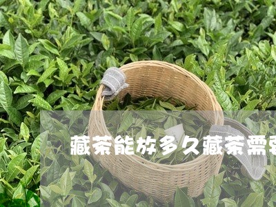 藏茶能放多久藏茶需要煮多长时间/2023060226492