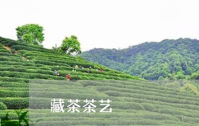 藏茶茶艺/2023090123936