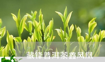 藏锋普洱茶鑫凤凰/2023120444846