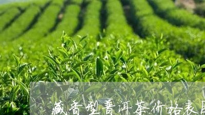 藏香型普洱茶价格表图大全/2023121892946