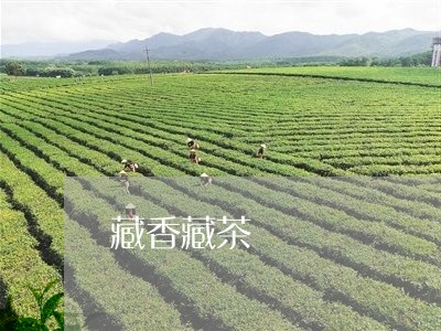 藏香藏茶/2023121980608