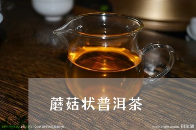 蘑菇状普洱茶/2023042721948