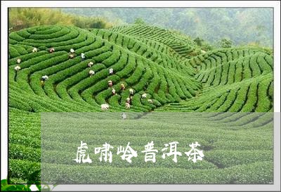 虎啸岭普洱茶/2023042717167