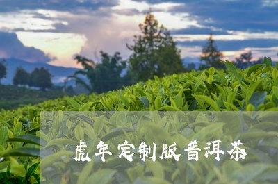 虎年定制版普洱茶/2023120417460