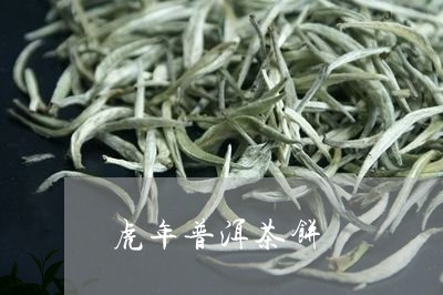 虎年普洱茶饼/2023042816627