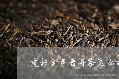 虎标金芽普洱茶怎么样/2023061477362