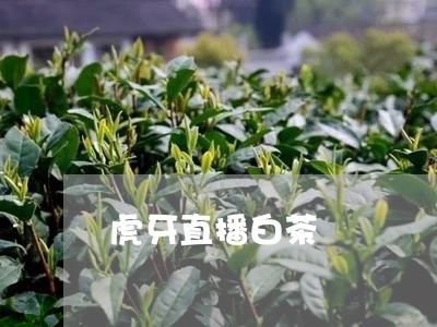 虎牙直播白茶/2023052372027