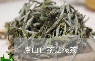 虞山白茶是绿茶/2023061073026