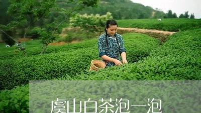 虞山白茶泡一泡/2023061088392