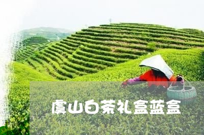 虞山白茶礼盒蓝盒/2023071122027