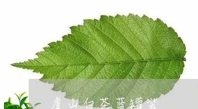 虞山白茶蓝罐装/2023061016139