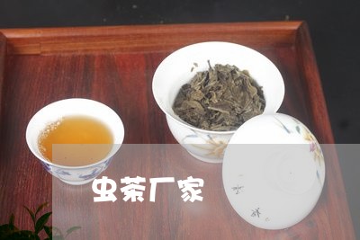 虫茶厂家/2023090144917