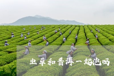 虫草和普洱一起泡吗/2023042726350