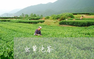 虫草泡茶/2023110975049