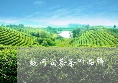 蛟河白茶茶叶品牌/2023071173806