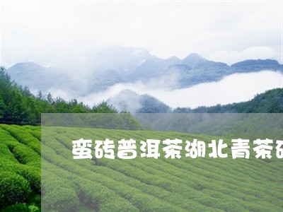 蛮砖普洱茶湖北青茶砖/2023092504849