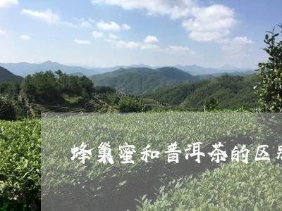 蜂巢蜜和普洱茶的区别是什么/2023083110805