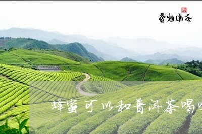 蜂蜜可以和普洱茶喝吗/2023062498384