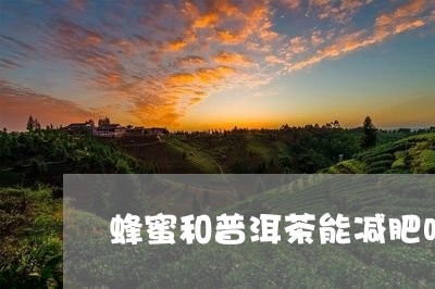 蜂蜜和普洱茶能减肥吗/2023062946697