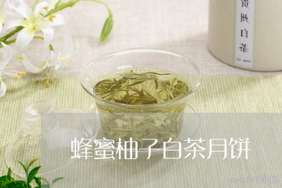 蜂蜜柚子白茶月饼/2023071113956