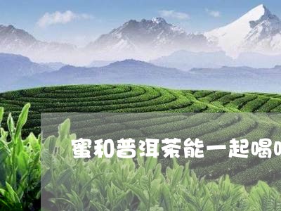 蜜和普洱茶能一起喝吗/2023092659514