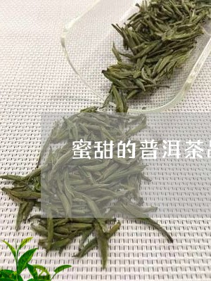 蜜甜的普洱茶品牌介绍词/2023121836381